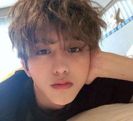 娱乐吃瓜酱程序员,揭秘编程界的趣味与智慧